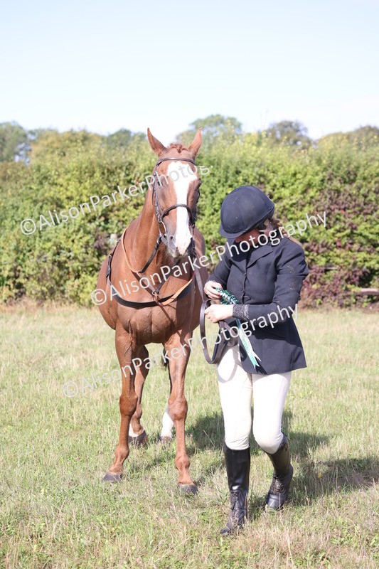 20260906-0734 - Class 22 - Ex Racehorse