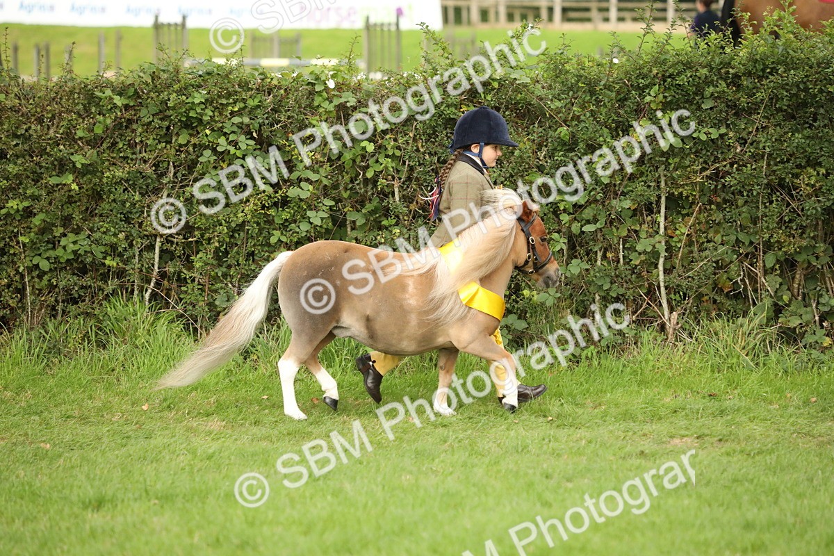 SBM_75344 - Equitation Supreme Championship