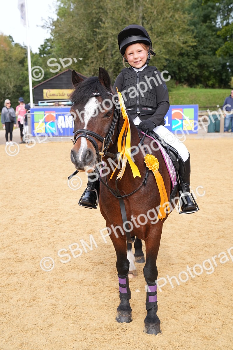 SBM_70500 - J3 - Mini Tour Junior Pony 40cm Championship