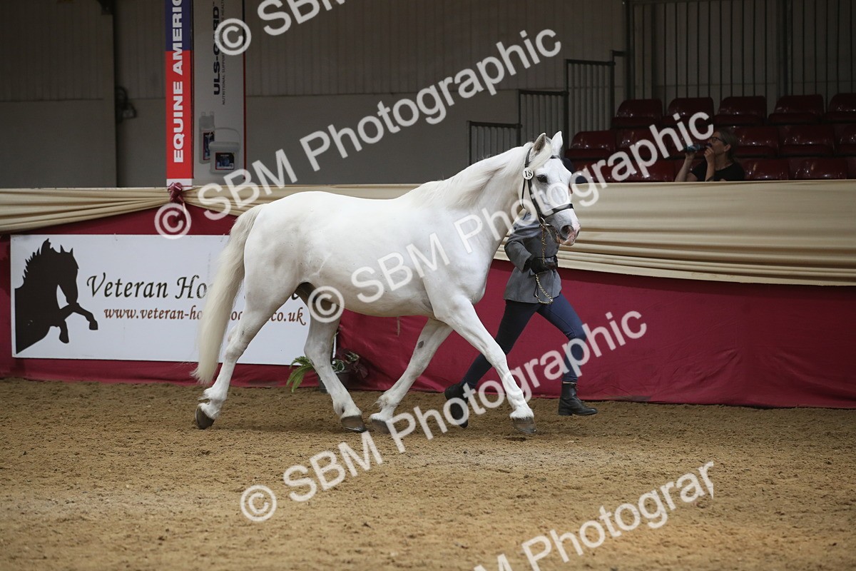 SBM_05562_Class9r - Regional - IH Pre Vet - Lily