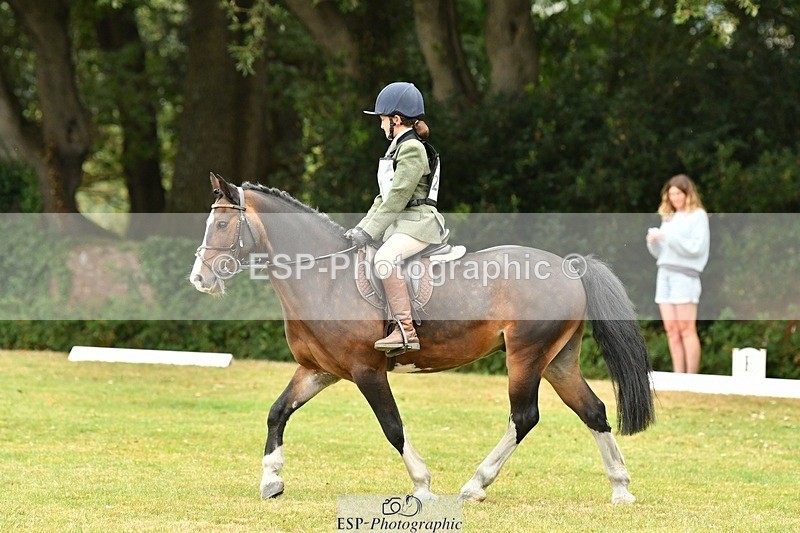 250820A-111251-04935 - 11am to 12