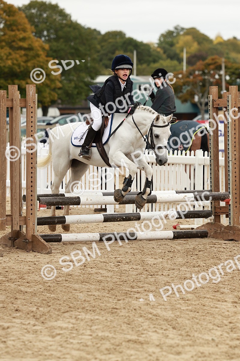 SBM_66930 - J13 - Junior Pony 60cm Championship