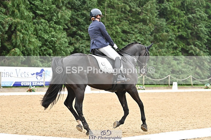 240811-120229-05323 - 118-Katie.Kneen-Springtime.Evergreen