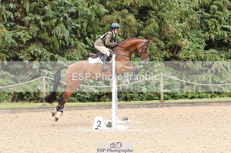 250803A-144149-14803 - O-680-Georgia.Bartlett-GENTLE.MONARCH