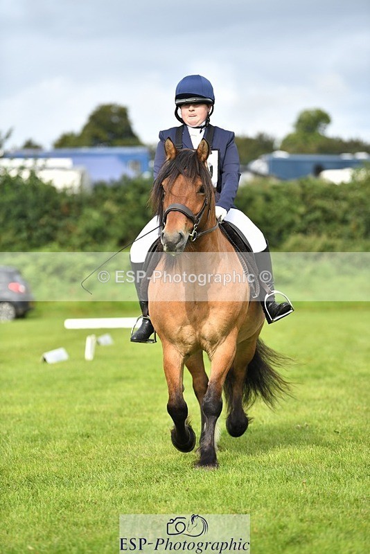 230826-100756-15365 - Sections C & D 10 to End