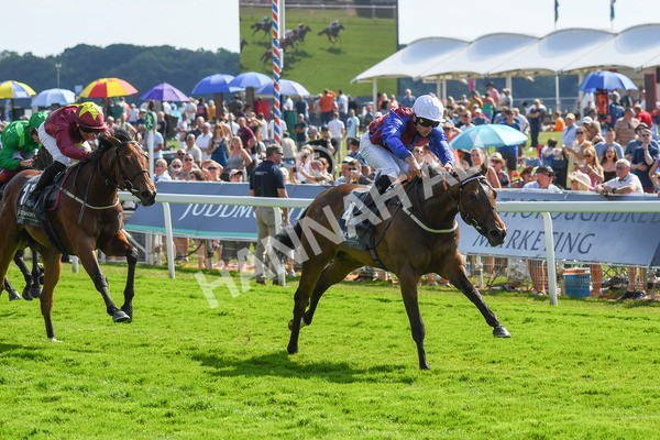 160623-Race 5-Harvanna-0593 - Race 5 4.10pm Juddmonte British EBF Fillies' Restricted Novice Stakes