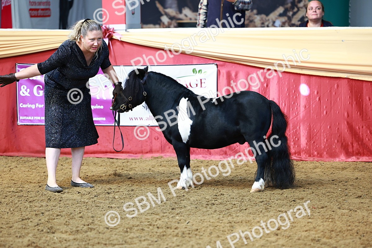 SBM_23106 - Class 903 - Supreme Final - IH Pre Vet