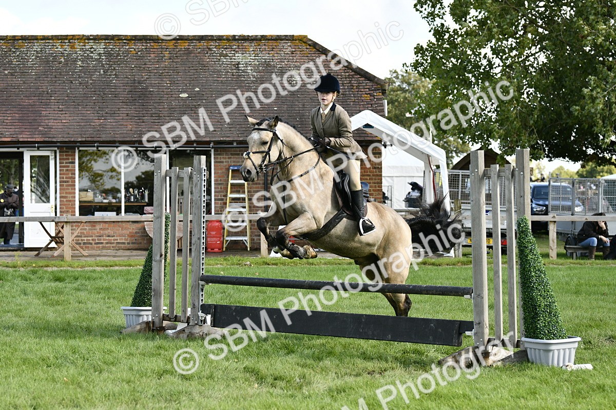 SBM_45716 - S33 - Working Hunter Pony