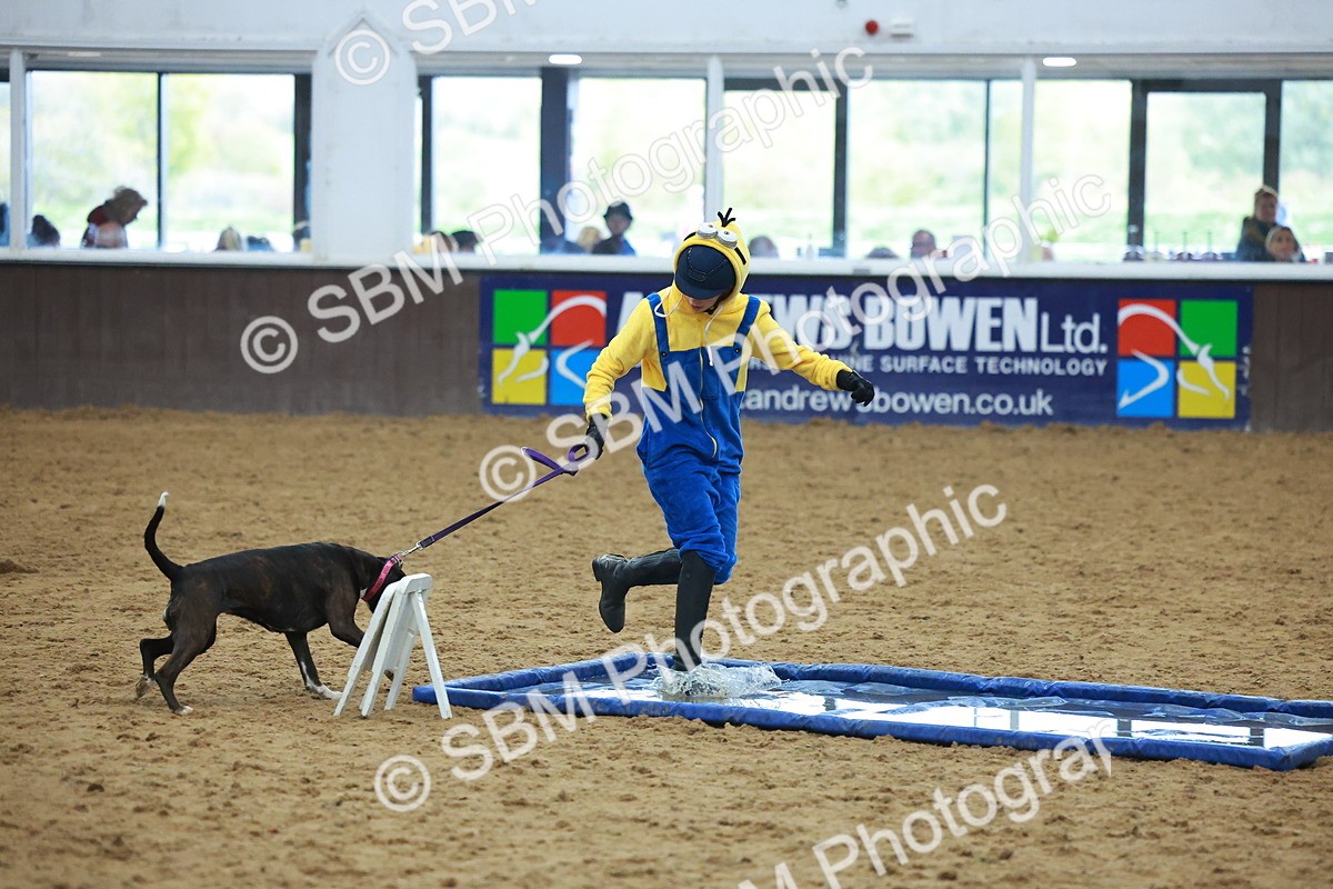 SBM_002250 - Class 3 - Horse & Hound (60cm)