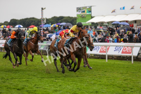 150624-Race 6-Pisanello-6251 - Race 6 4.45pm Ice Co Supporting Macmillan Handicap