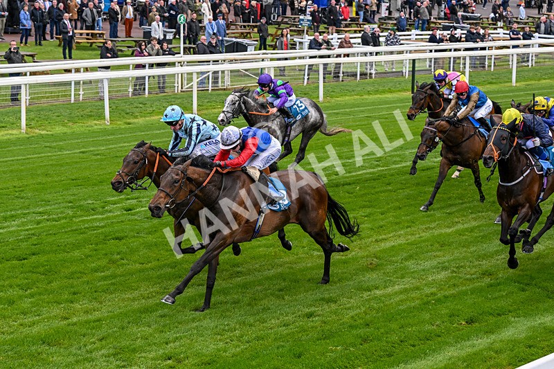 140526-Race 3-Maybe Not-0160 - Race 3 2.55pm Oakmere Homes Hambleton Handicap
