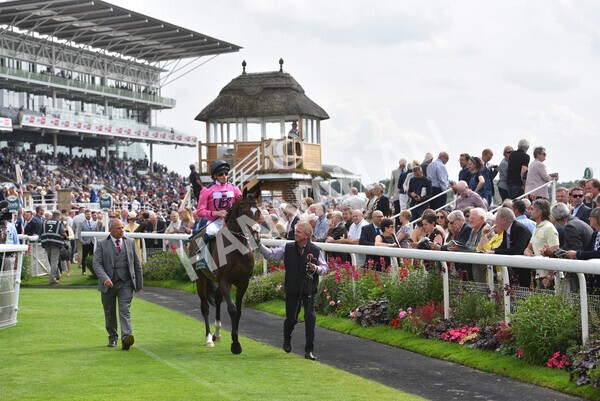yr20082021r2-36 - Race 2 2.25pm Weatherbys Hamilton Lonsdale Cup (British Champion Series race)