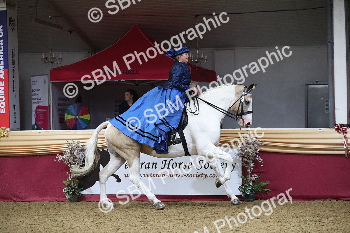 SBM_12014 - Class 106 Ridden Costume- Astride Adult (15-19)