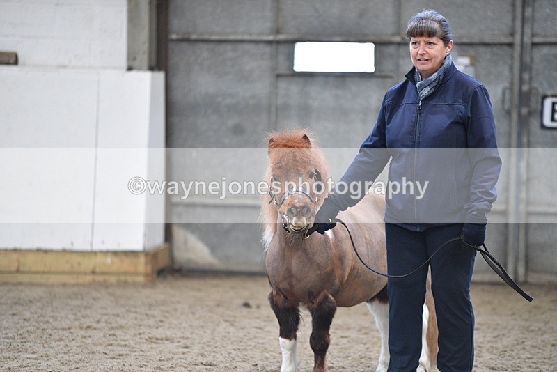 WJ5_5127 - Class 7 In hand coloured / odd coloured