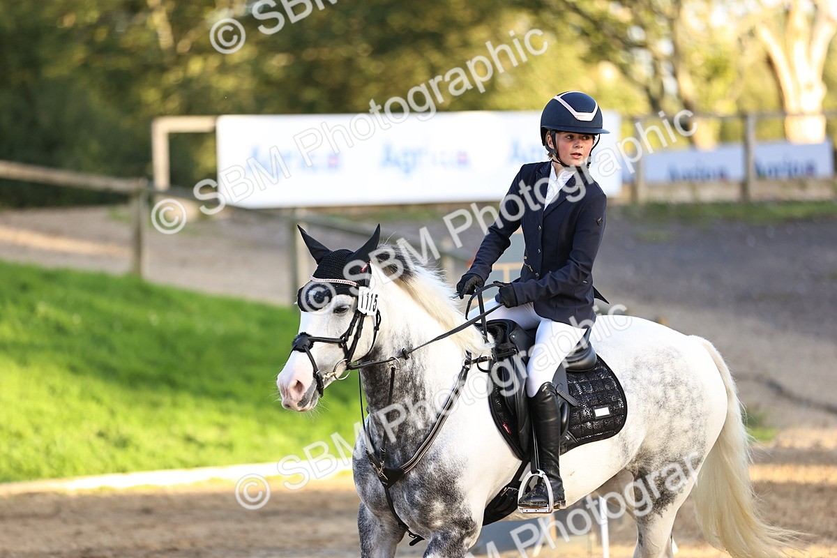 SBM_54331 - Supreme Championship 70cm 75cm