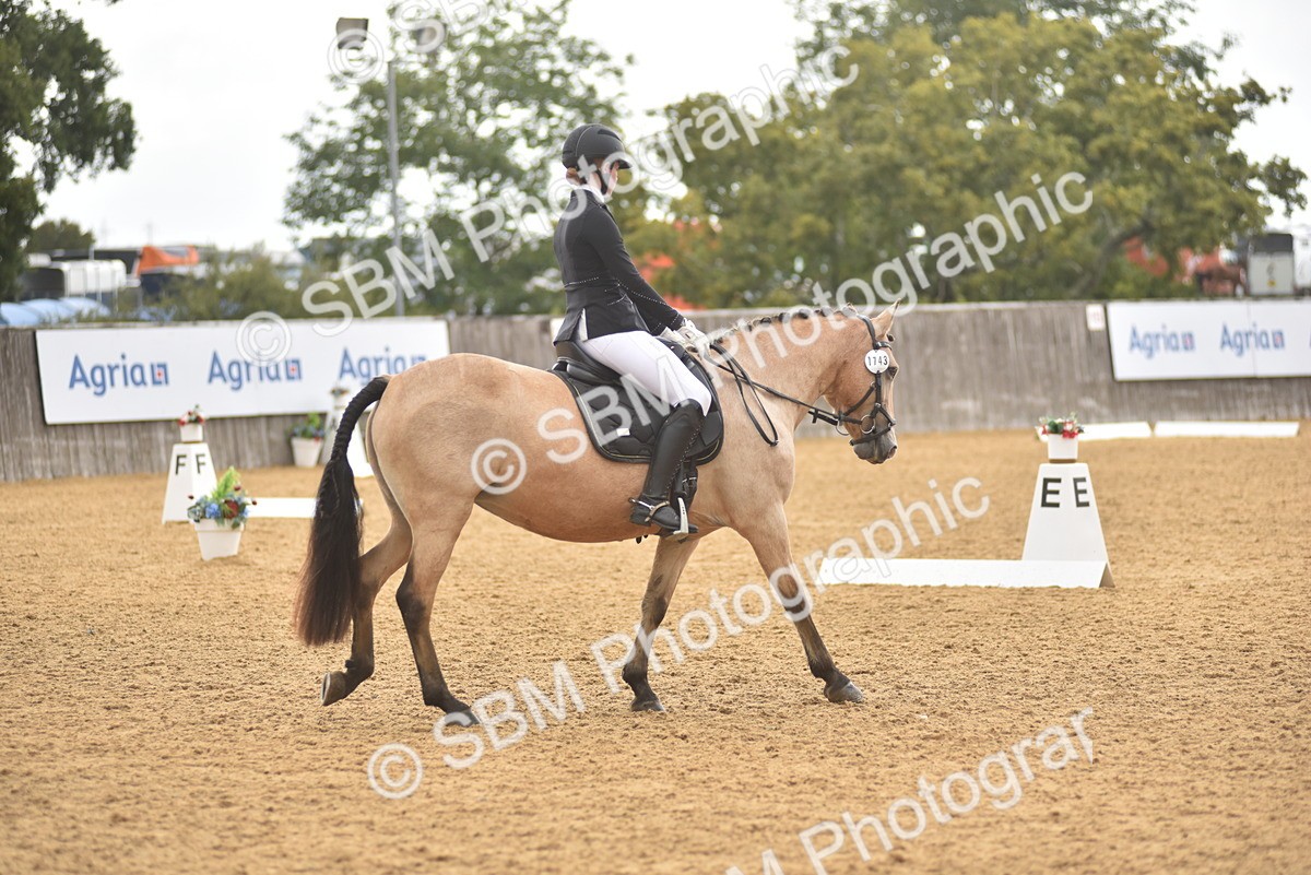 SBM_42374 - D22 - Junior Championship Intro 3