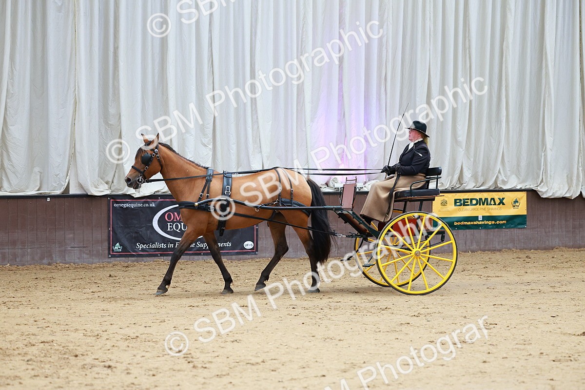 SBM_001063 - Class 15 - Open Showmans Class