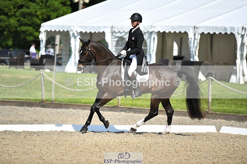 230525-094739-01663 - 309-PLOT_TWIST_B-Tom_Jackson-WEDTrotUp+DR