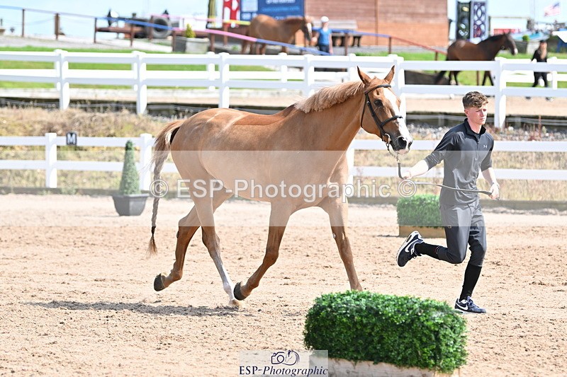 240717A-153700-02916 - Trot Up 3pm to 4pm
