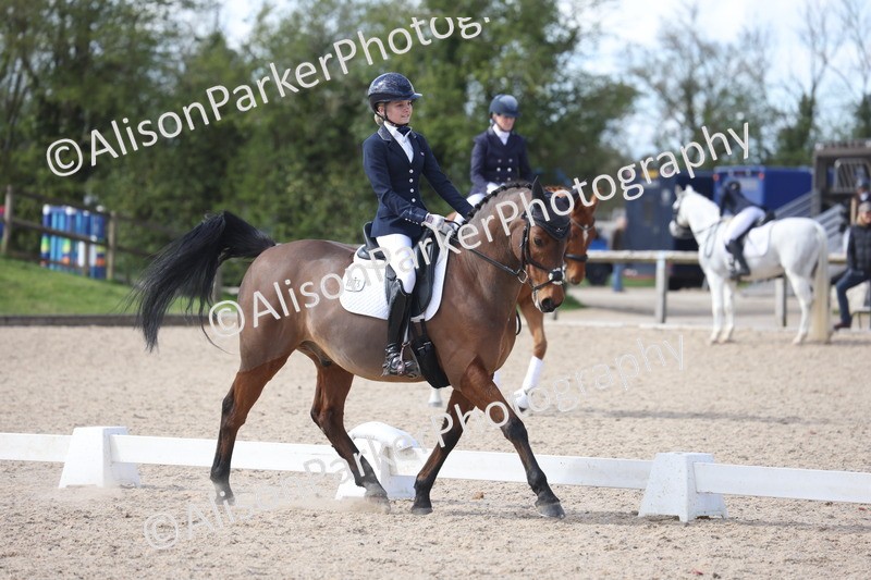 20260405-0906 - Pony FEI