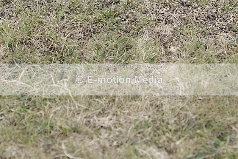 BVHT 140517 I-900 - Class 1 SJ Intermediate 14/05/17