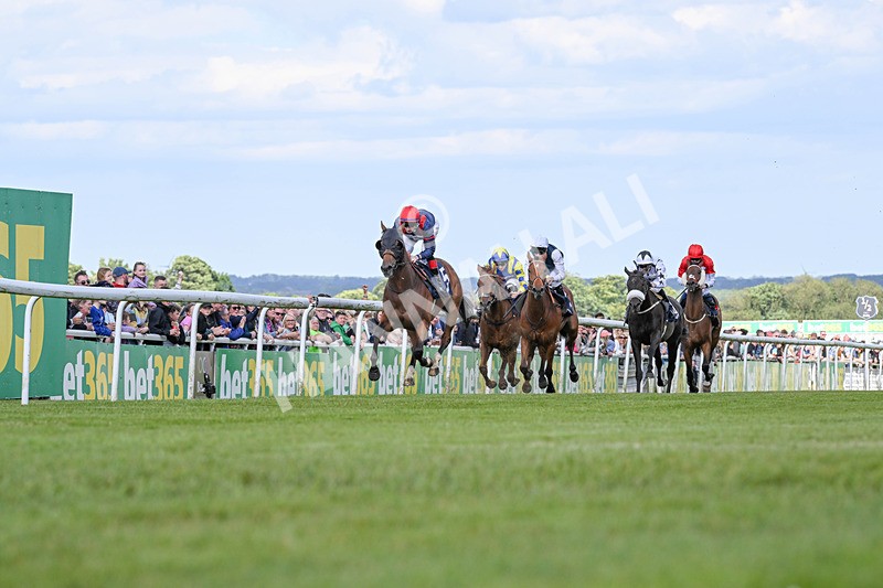 080624-Race 6-Walter Hartright-7567 - Race 6