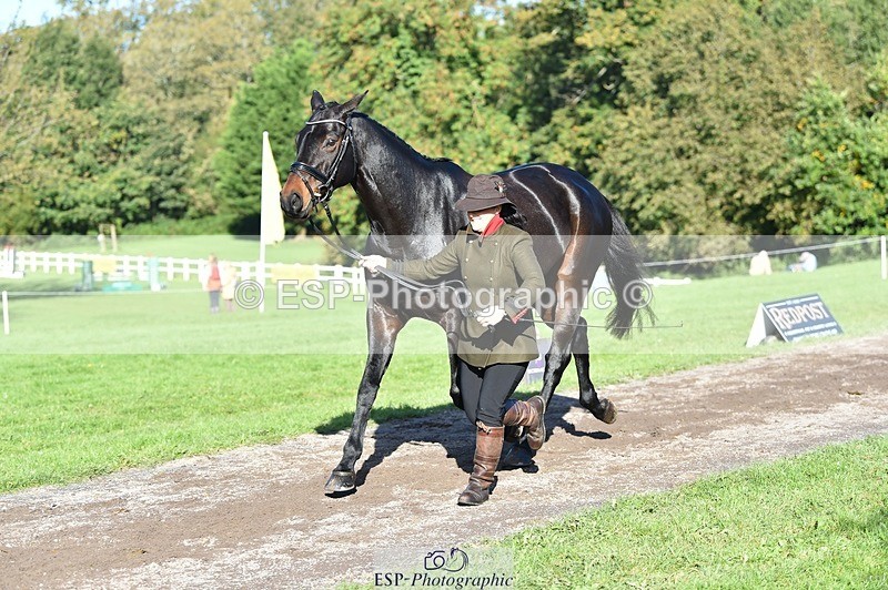 231022-110430-23700 - 506-WOODSTOCK-Gemma.Wood-TrotUp+SJ