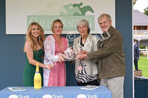 yr23072021r5-49 - Race 5 8.00pm Gallop Racing Stakes