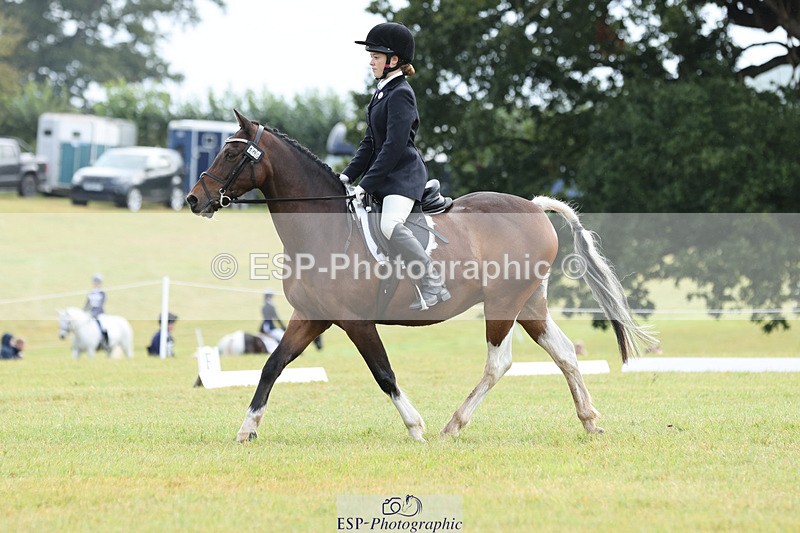 240824X-110349-26835 - D70 Section C and D 9.30 to 11.00