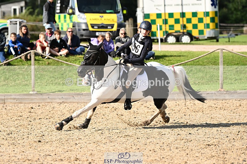 240824X-165432-30466 - 80cm Jump Off