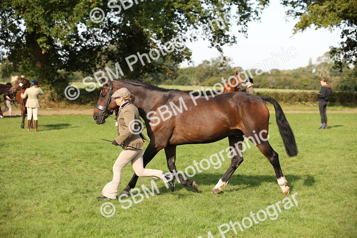 SBM_60090 - S53 - Hunter In Hand