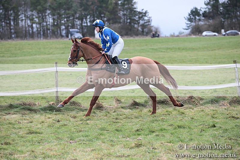 PtP 230119 195 - Royal Artillery Point-to-Point  - Larkhill  - 26/01/19