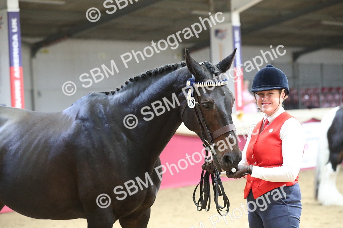 SBM_06422 - Class 9R Regional- IH Pre Vet