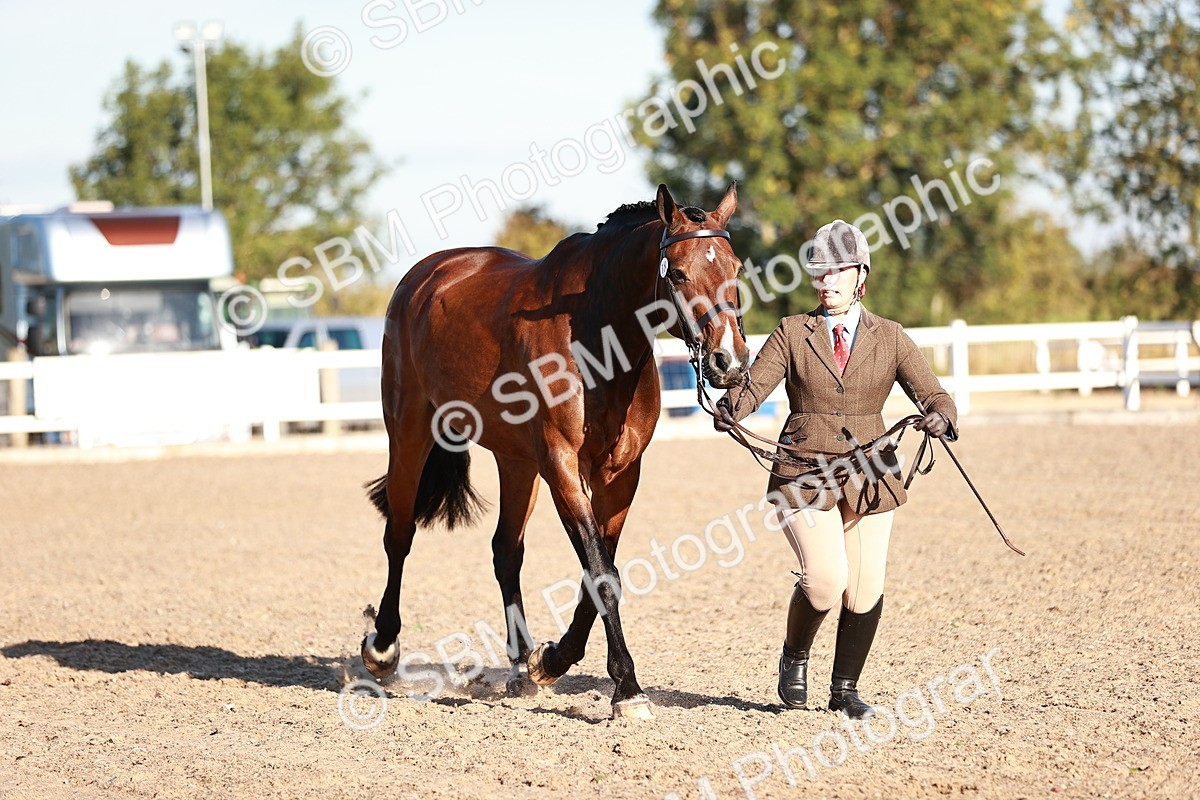 SBM_11193 - Class 401 - IH  Veteran horse