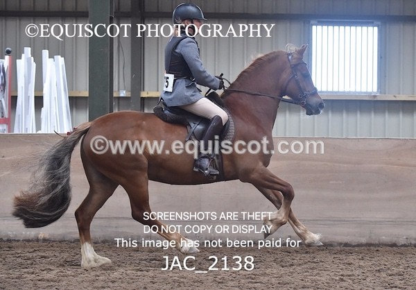 JAC_2138 - CLASS 1 Nursery Novice Working Hunter