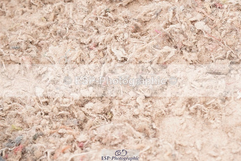 250503-105042-00546 - Cls 19+20 Club and Schools 70cm