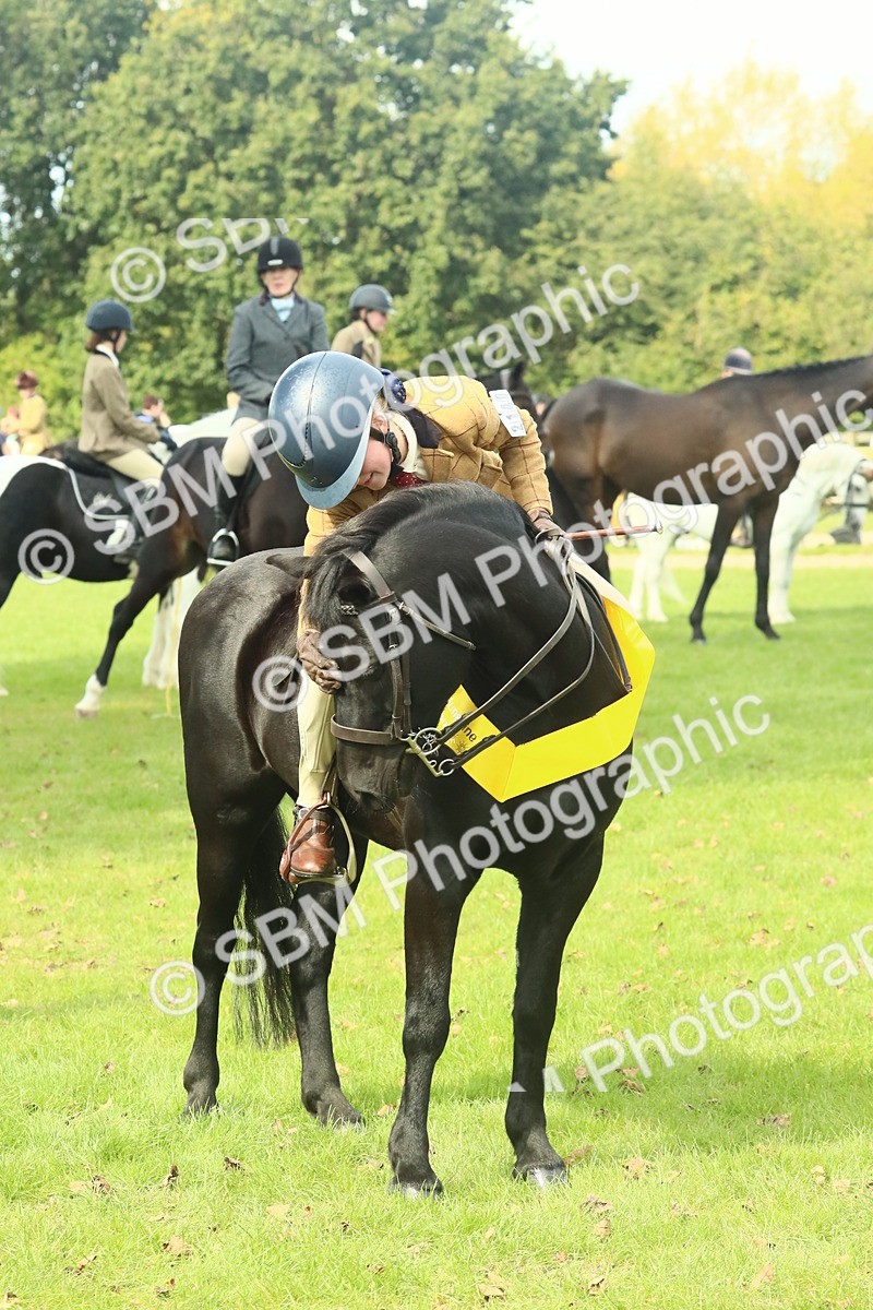 SBM_66753 - S34 - Rehabilitated Rescue Horse & Pony In Hand & Ridden