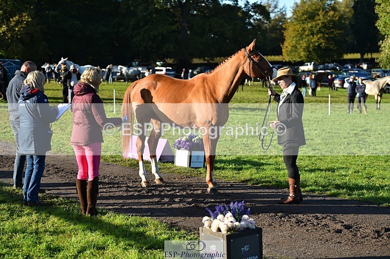 231022-093038-21840 - 607-RICO.III-Alison.Stewart-TrotUp+SJ