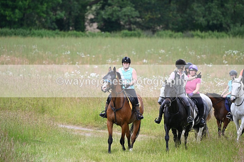 WJ6_8348 - Camera 1 Gallops