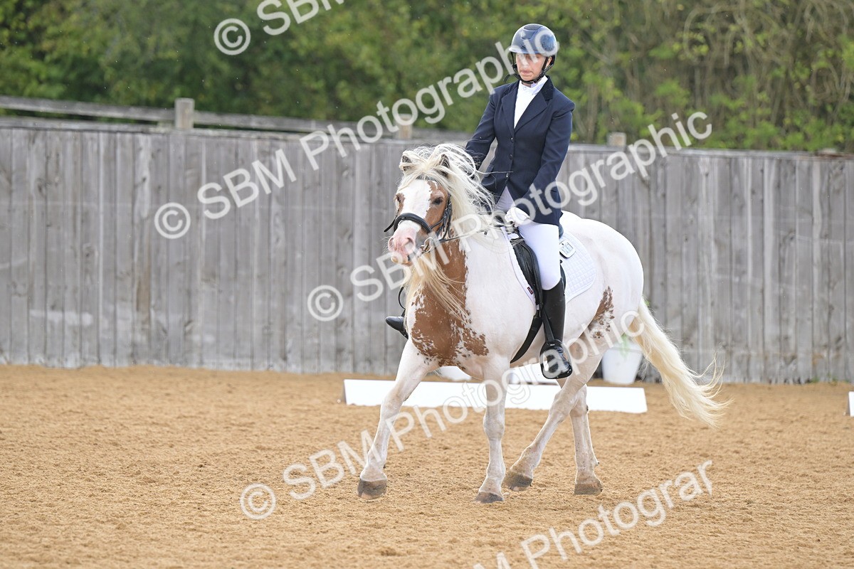 SBM_11217 - D3 - Small Tour Championship Intro 3