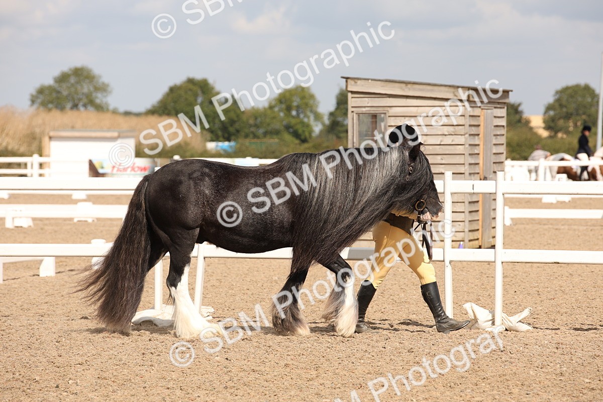 SBM_04518 - Class 20 IH Veteran