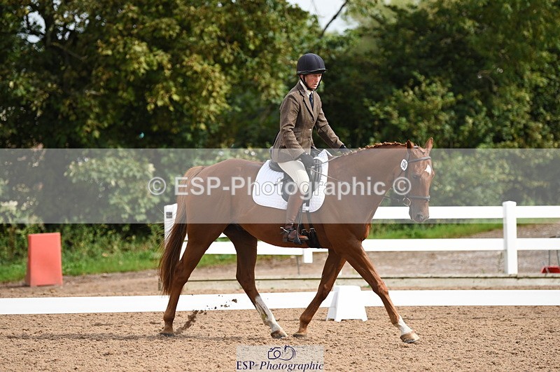 230912A-104512-00421 - Cls 5 Novice 39