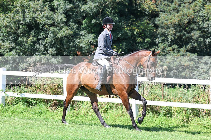 3E7A8378 - Class 4: Novice working Hunter