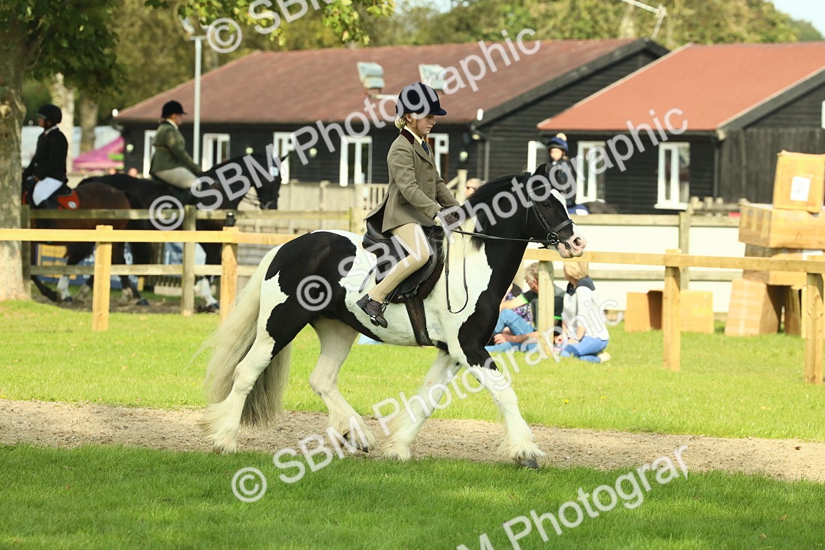 SBM_68899 - S58 - Mini Show Cob Ridden