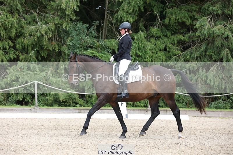 230812-153701-05172 - Cls 5 Novice Bronze 15.00 to End