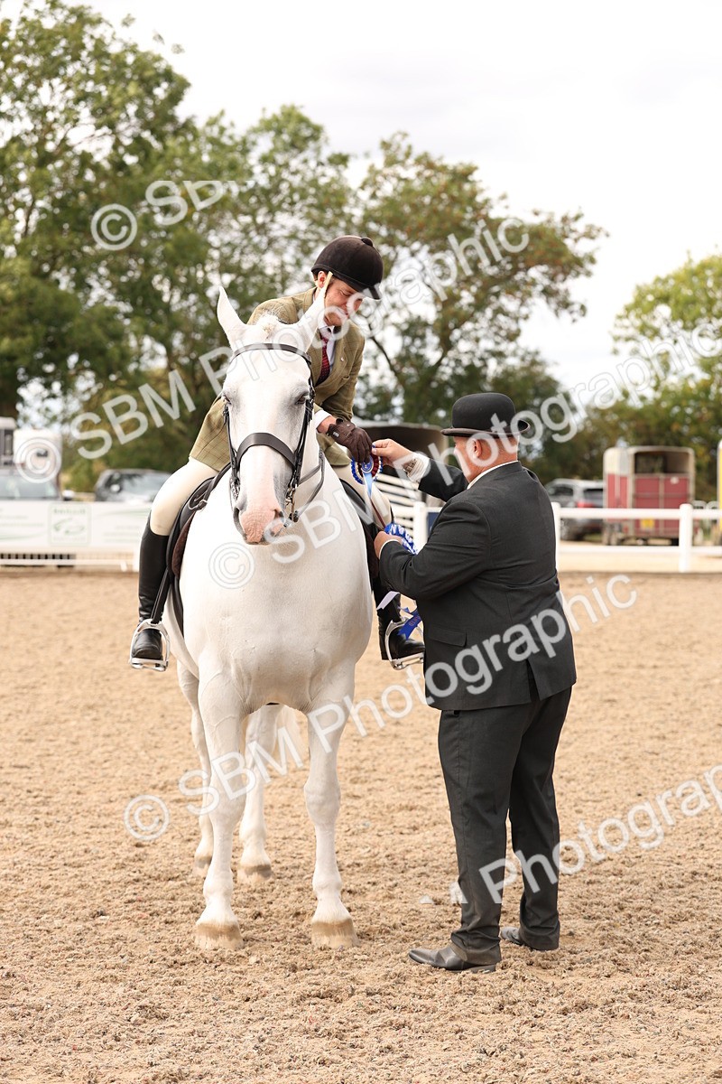 SBM_17277 - Class 213 - Ridden Hunter - Large