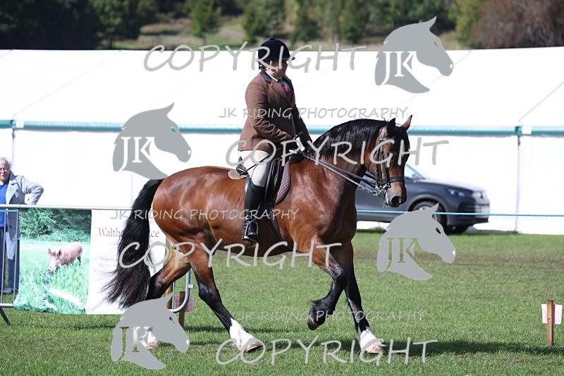 APP_3510 - Class 12 M&M ridden