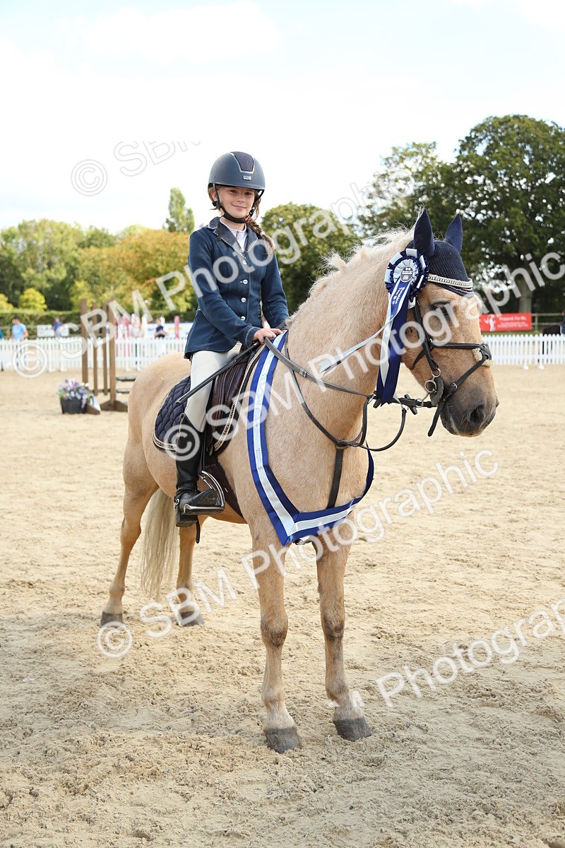 SBM_41505 - J6 - Junior Pony 55cm Championships