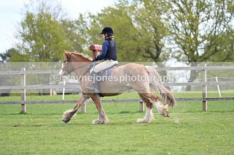 WJ7_6375 - 60cm Time 11:12 to 11:36