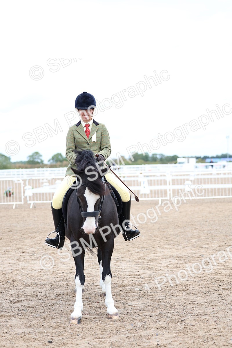 SBM_01485 - Class 17 - Prettiest Mare